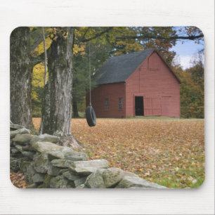 Tire swing along a road in Southern Vermont, Mouse Pad