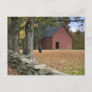 Tire swing along a road in Southern Vermont, Postcard