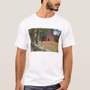 Tire swing along a road in Southern Vermont, T-Shirt