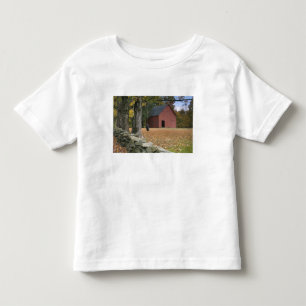 Tire swing along a road in Southern Vermont, Toddler T-Shirt