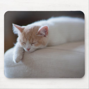 Tired Beige And White Kitten Mouse Pad