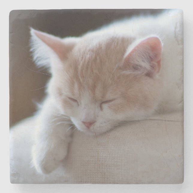 Tired Beige And White Kitten Stone Coaster (Front)