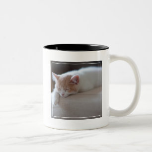 Tired Beige And White Kitten Two-Tone Coffee Mug