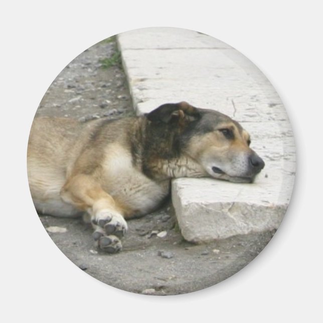Tired Dog magnet, customise Magnet (Front)