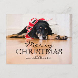 Tired Dog with Christmas ribbons Holiday Postcard