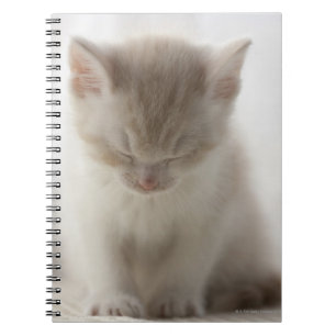 Tired Kitten Notebook