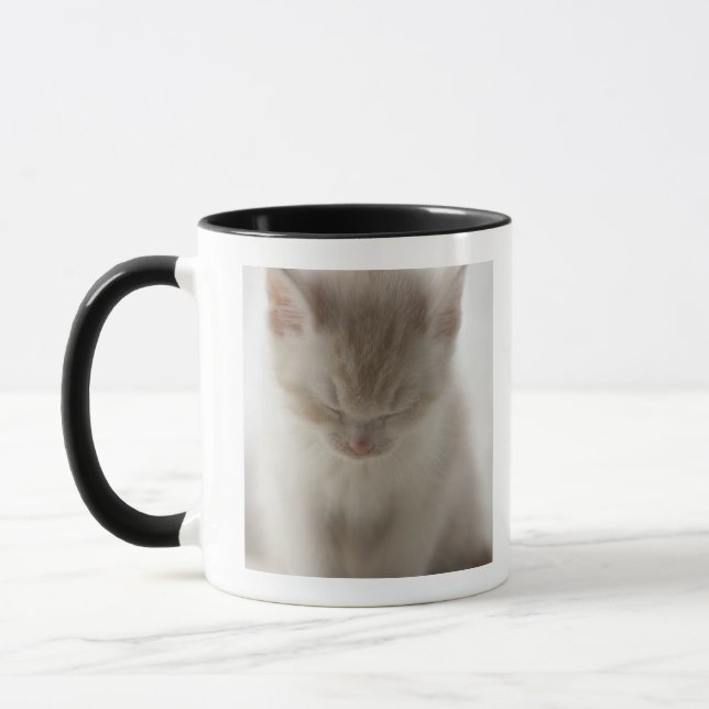 Tired Kitten Sleeping Mug (Left)