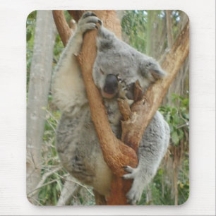Tired Koala Mouse Pad