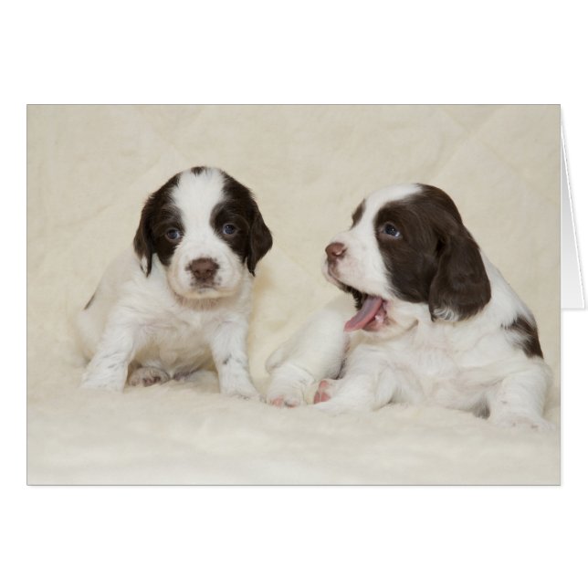 Tired puppies Card (Front Horizontal)