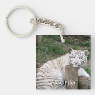 Tired Sleepy White Tiger Resting On Tree Logs Key Ring