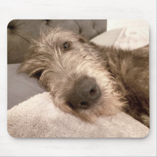 Tired young Irish Wolfhound Mouse Pad
