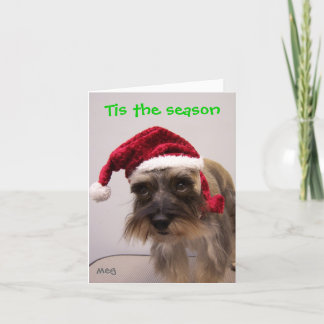 Tis season holiday card