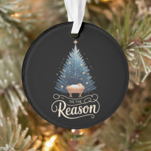 Tis The Reason Christian Religious Christmas Bible Ornament