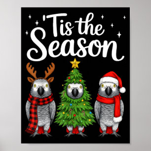 Tis The Season African G Parrot Christmas Santa Poster