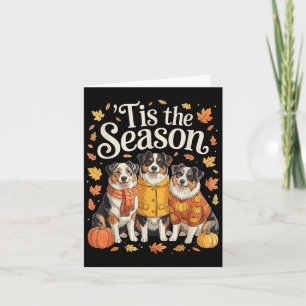 Tis The Season Australian Shepherd Fall Autumn Pum Card