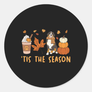 Tis The Season Bernese Mountain Dog Fall Pumpkin C Classic Round Sticker
