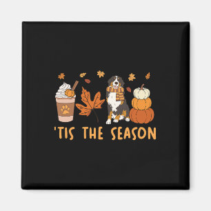 Tis The Season Bernese Mountain Dog Fall Pumpkin C Magnet