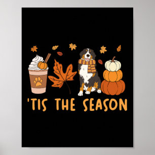 Tis The Season Bernese Mountain Dog Fall Pumpkin C Poster
