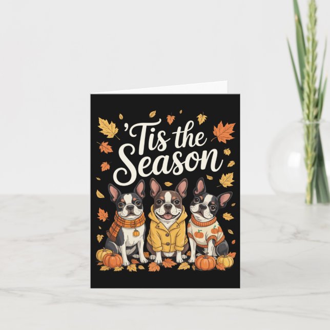 Tis The Season Boston Terrier Fall Autumn Pumpkin  Card (Front)