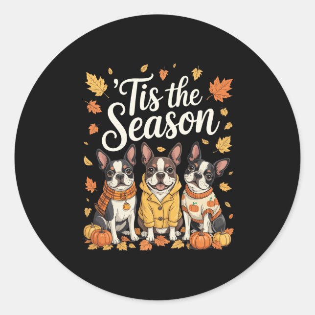 Tis The Season Boston Terrier Fall Autumn Pumpkin  Classic Round Sticker (Front)