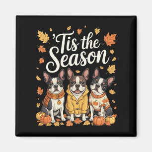 Tis The Season Boston Terrier Fall Autumn Pumpkin Magnet