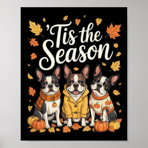 Tis The Season Boston Terrier Fall Autumn Pumpkin Poster