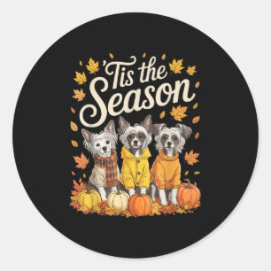 Tis The Season Chinese Crested Dog Fall Autumn Pum Classic Round Sticker