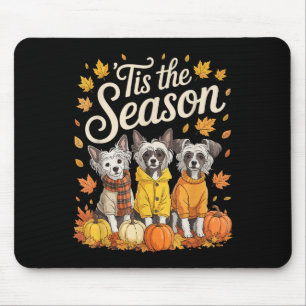 Tis The Season Chinese Crested Dog Fall Autumn Pum Mouse Pad