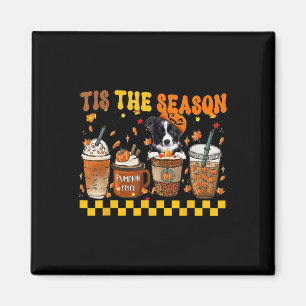 Tis' The Season Coffee Pumpkin Border Collie Hallo Magnet