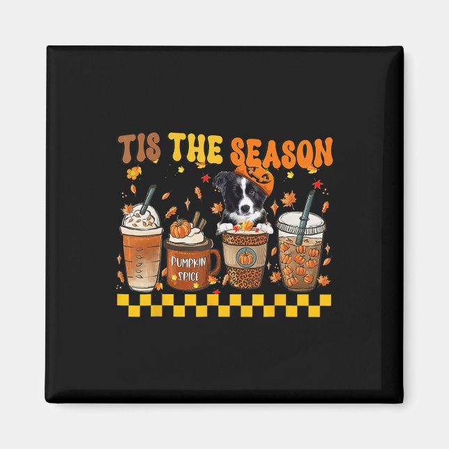 Tis' The Season Coffee Pumpkin Border Collie Hallo Magnet (Front)