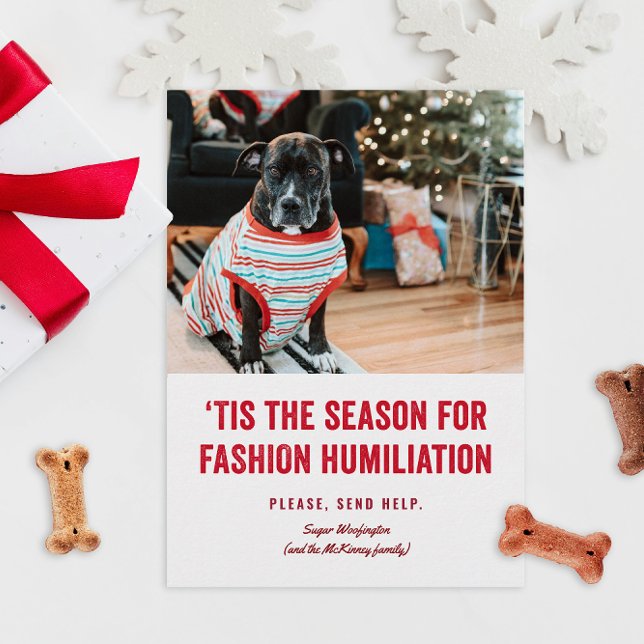 Tis the Season for Humiliation Christmas (funny humor Christmas holiday photo cards for pets in ugly sweaters or costumes fashion)
