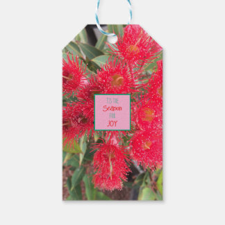 Tis the season for joy - red flowering gum  gift tags