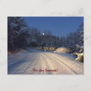 'Tis the Season  Jean Watson  Winter Holiday Postcard