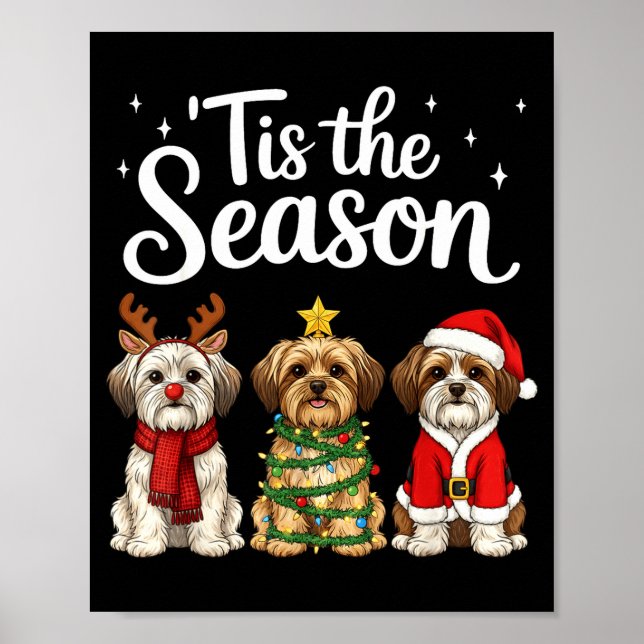 Tis The Season Morkie Christmas Santa Dog Lover  Poster (Front)