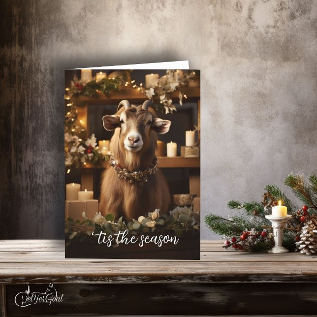 'tis the Season Toggenburg Goat Card (If you love goats - this is a great  Holiday card to send - festive and frame worthy #zazzlemade )