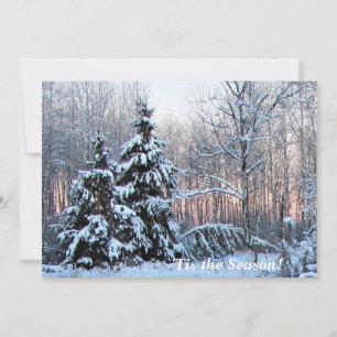 'Tis the Season Up North  Mn! Rosy Sunset