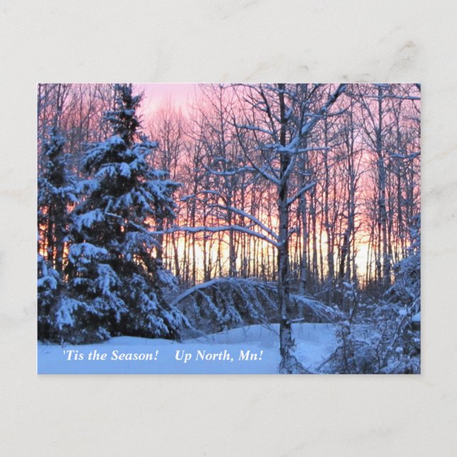 'Tis the Season  Up North, Mn Winter Holiday Postcard (Front)