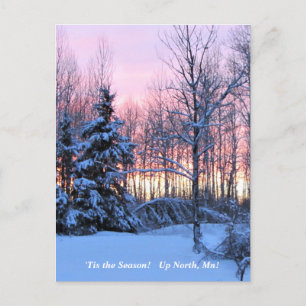 'Tis the Season  Up North, Mn Winter Holiday Postcard