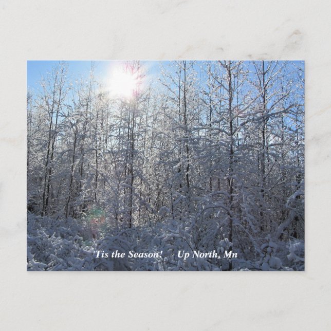 'Tis the Season  Up North, Mn Winter Holiday Postcard (Front)