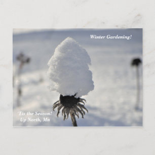 'Tis the Season  Winter Garden Up North Holiday Postcard