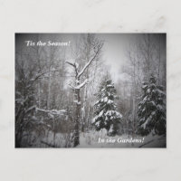 'Tis the Season Winter in the Bear River Gardens