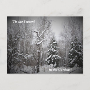 'Tis the Season Winter in the Bear River Gardens Postcard