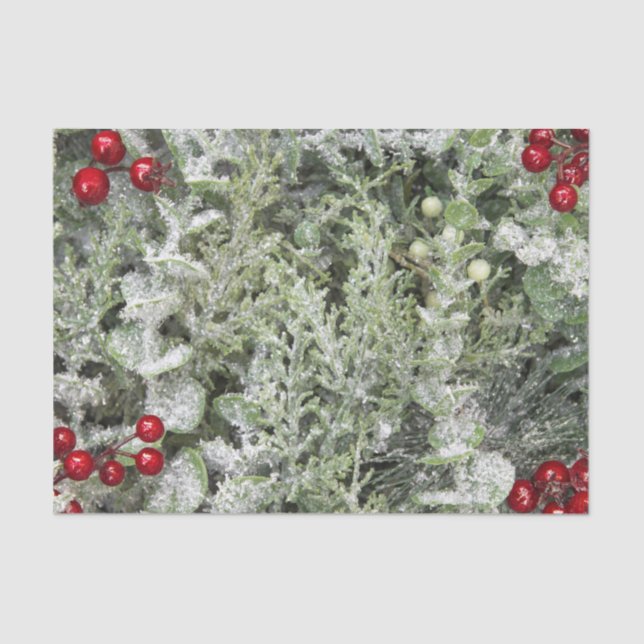 Tissue paper  (Front)