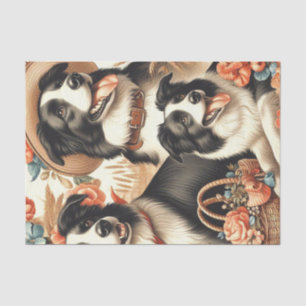 Tissue Paper