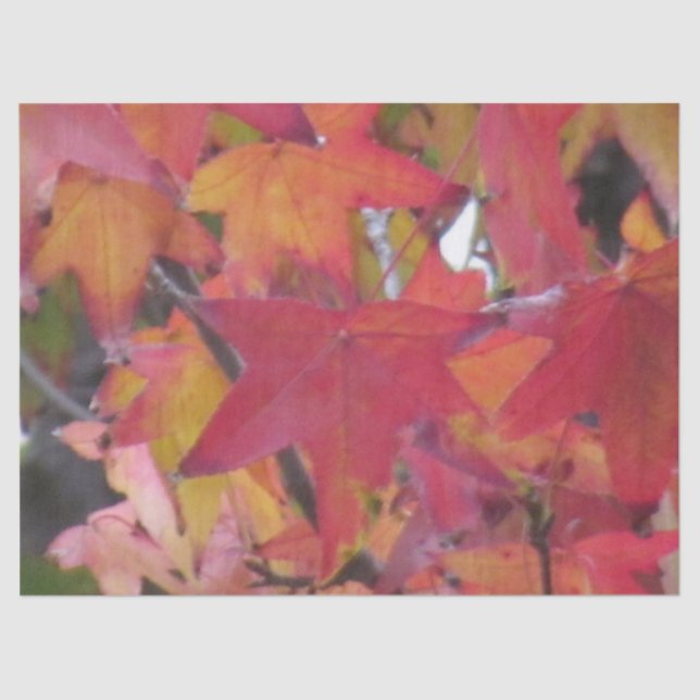 Tissue Paper - Autumn Leaves (Front)