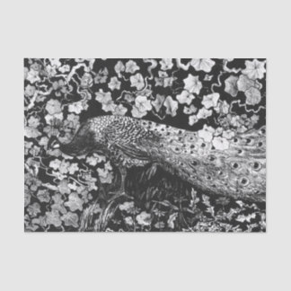 Tissue Paper BLACK AND WHITE PEACOCK