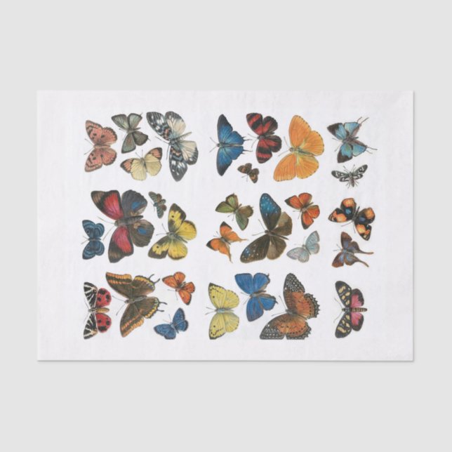 Tissue Paper butterfly decoupage (Front)