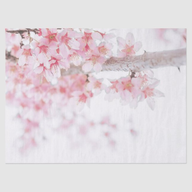 TISSUE PAPER : CHERRY BLOSSOM (Front)