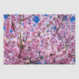 Tissue Paper Cherry Blossoms