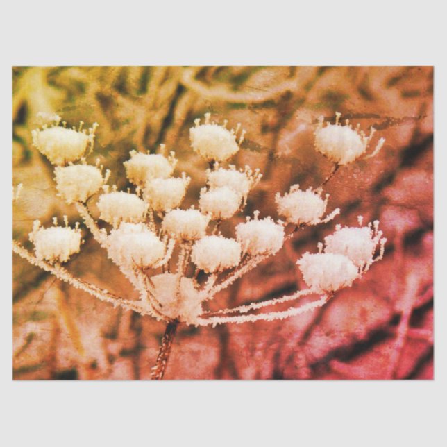 Tissue Paper + Decoupage Paper - First Freeze (Front)